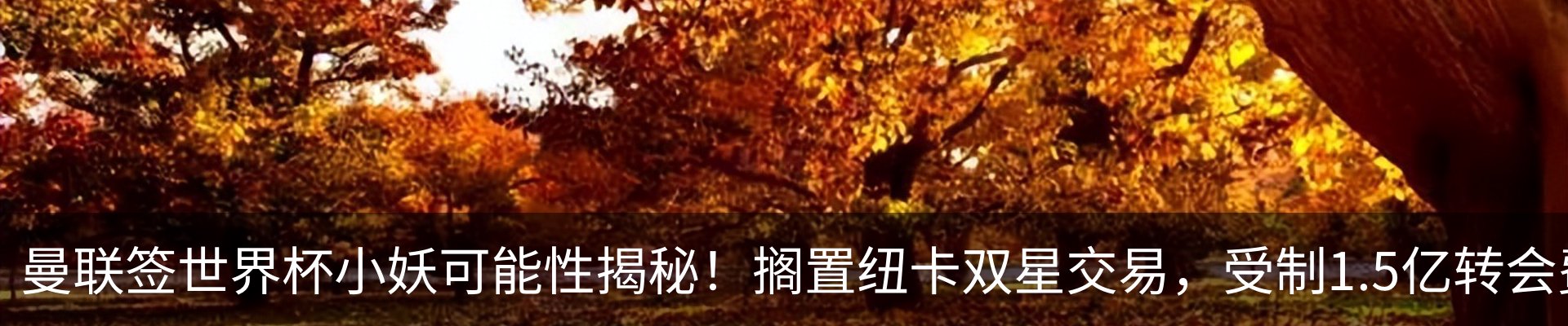 最新动态